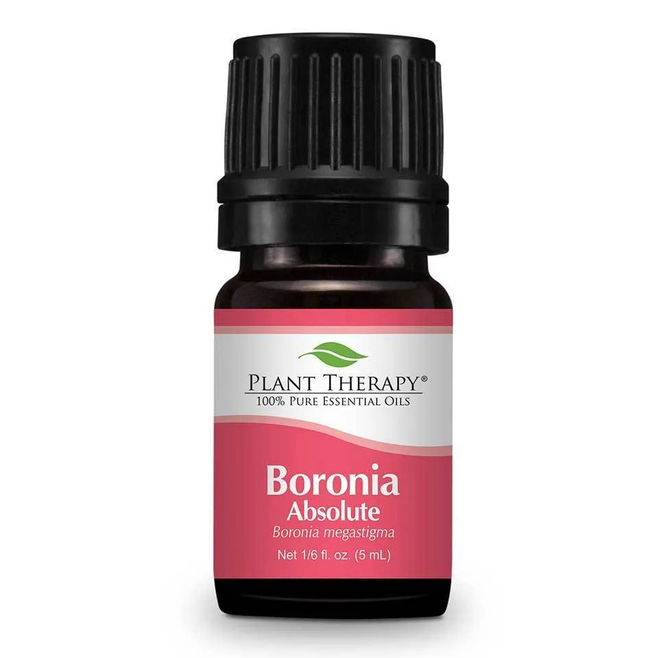 Plant Therapy Boronia Absolute