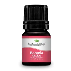 Plant Therapy Boronia Absolute